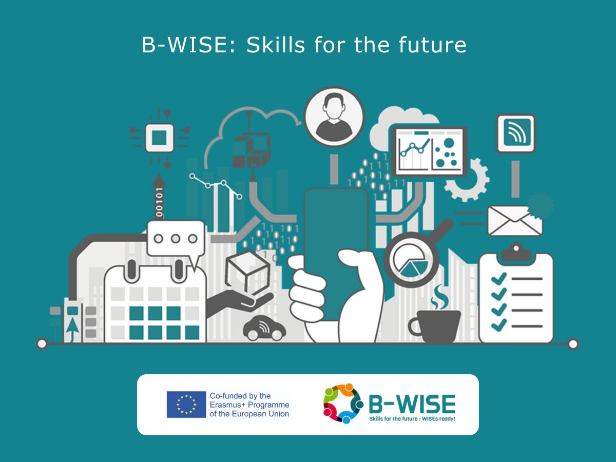 B WISE Blueprint For Sectoral Cooperation On Skills In Work 